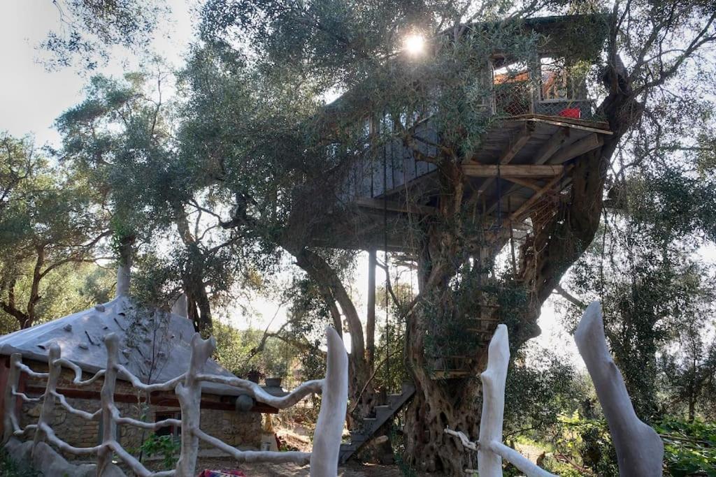 فيلا Margaritis'S Treehouse Paramonas  المظهر الخارجي الصورة