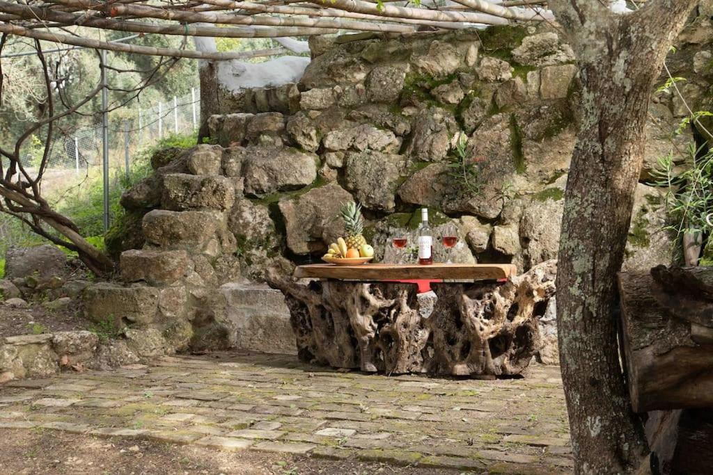 فيلا Margaritis'S Treehouse Paramonas  المظهر الخارجي الصورة