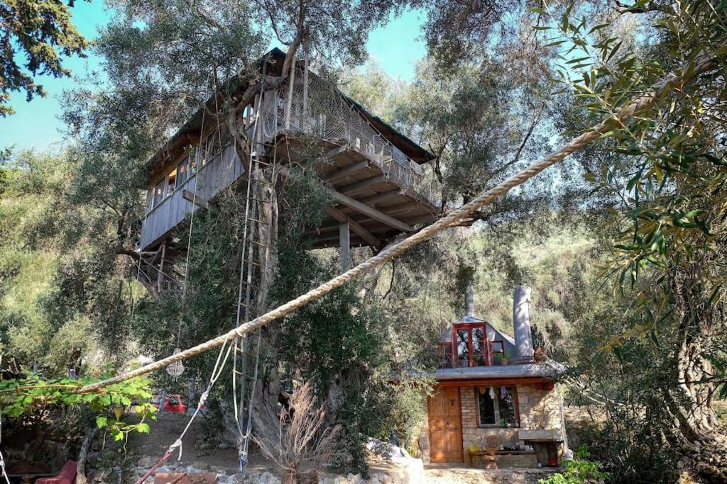 فيلا Margaritis'S Treehouse Paramonas  المظهر الخارجي الصورة