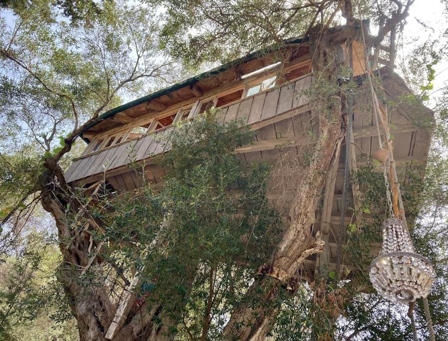 فيلا Margaritis'S Treehouse Paramonas  المظهر الخارجي الصورة